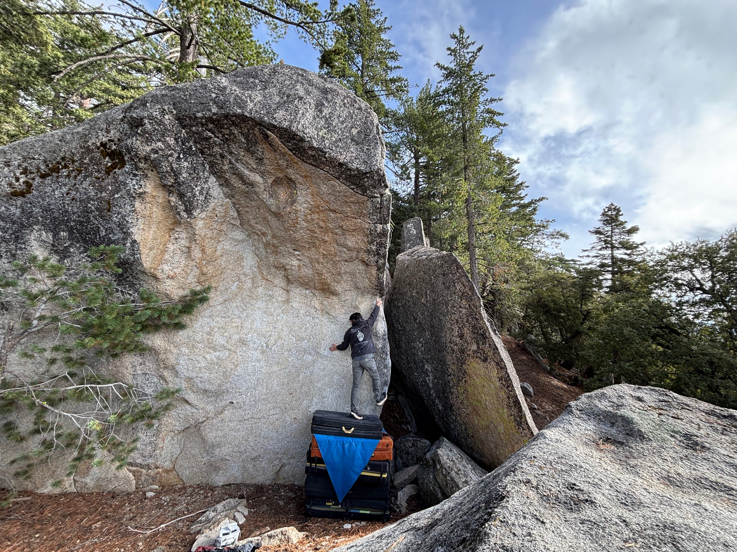 mono (hand position) hoodie